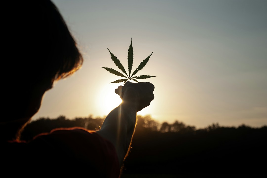 The Many Uses of CBD Cream 1 img