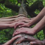 a person holding a tree