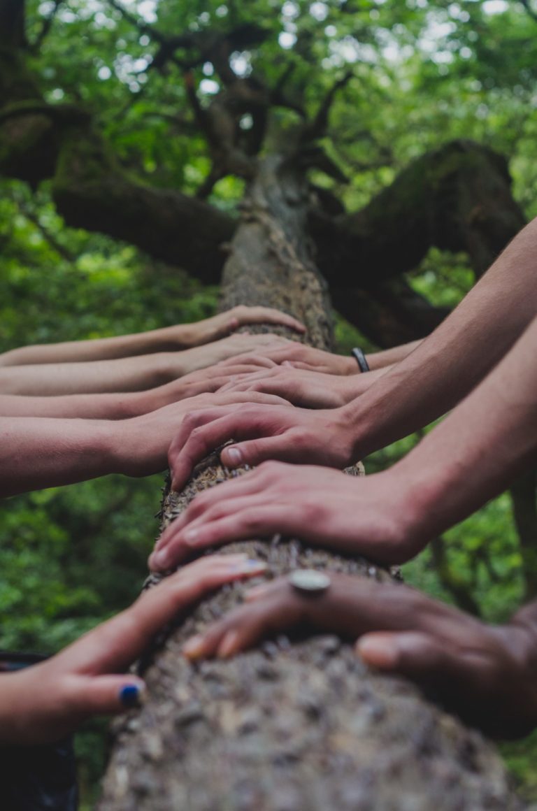 a person holding a tree