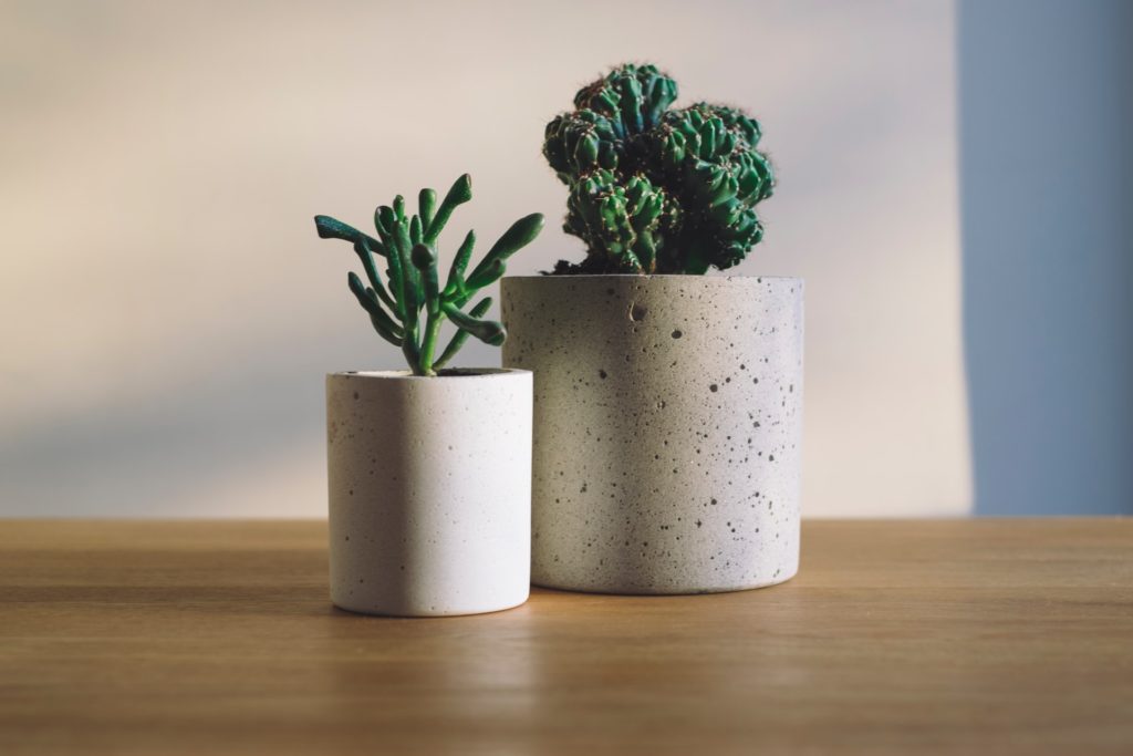 two white containers with plants in them