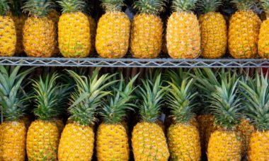 Moving to Hawaii? Here Are Some Services You Can Use 11 hi