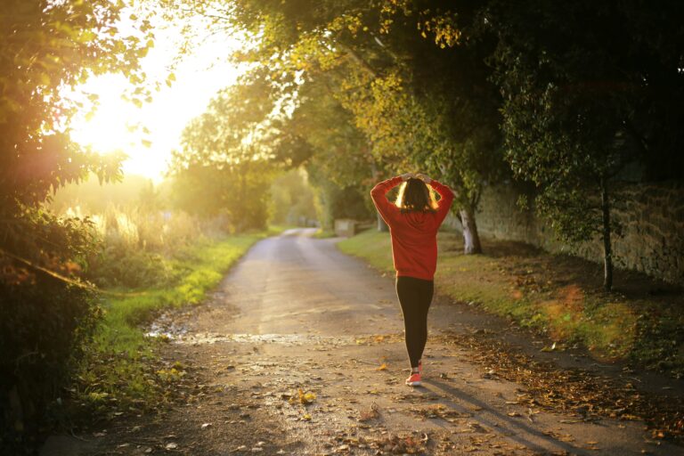 a person walking on a path in the woods